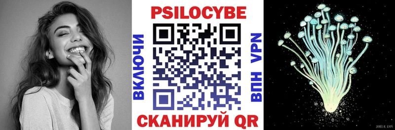 купить наркоту  Северо-Курильск  Галлюциногенные грибы Psilocybe 